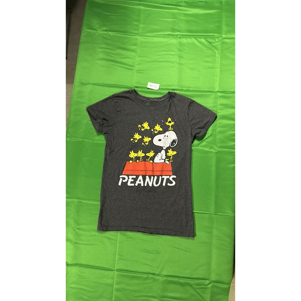 Peanuts Snoopy Woodstock Graphic T-Shirt Charcoal Gray Mens S 2020